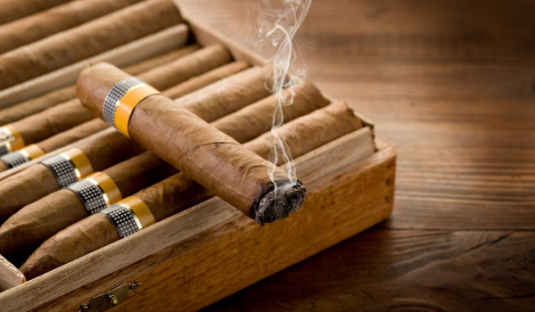 cigar
